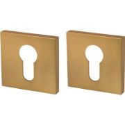 Накладка CYLINVDER ET USS 52 FSG 2шт флорентийское